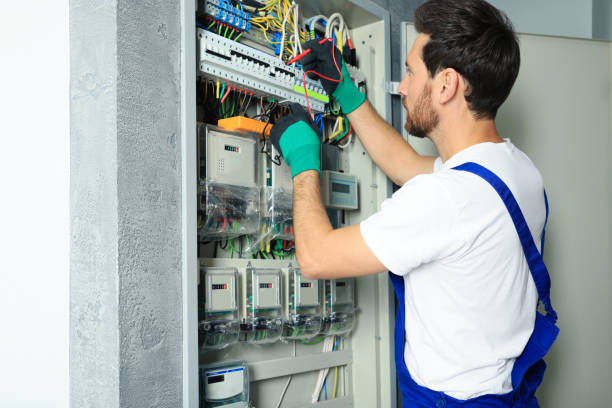 Best Electric Panel Repair  in Massanetta Springs, VA
